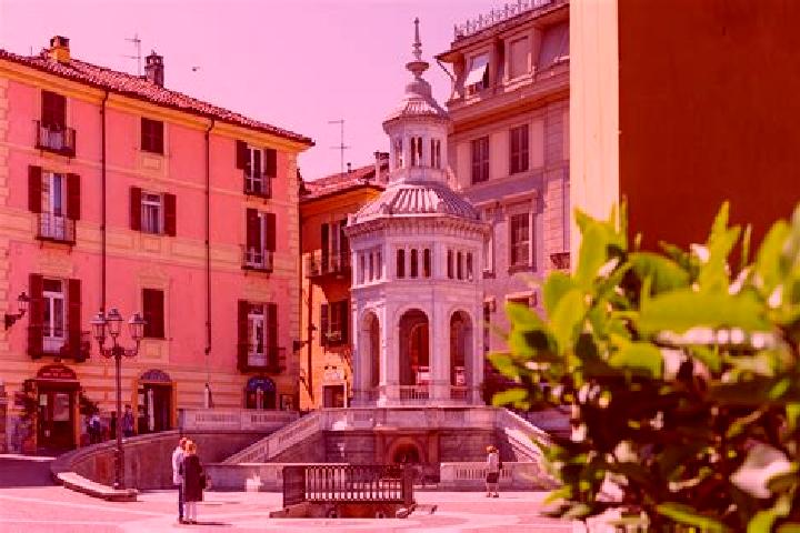 Rose, 39 — Escort in San Salvatore Monferrato, Italy