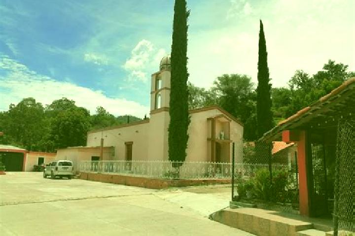 Rose, 39 — Escort in Tameapa, Mexico