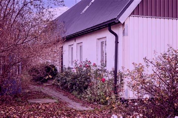 Rose, 39 — Escort in Vaestra Ingelstad, Sweden