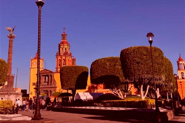 Rose, 39 — Escort in Valle del Rio, Mexico