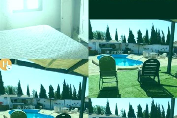 Rose, 39 — Escort in Villa del Campo, Spain