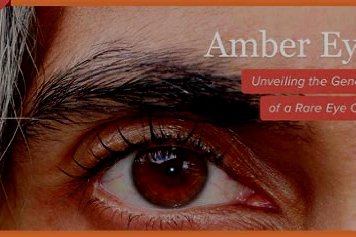 Ruby, 20, a red amber-eyed middle eastern companion based in Differdange. Offering Party Girl, Overnight. Available for incall and outcall, overnight booking...