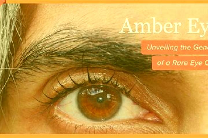 Ruby, 21, a black amber-eyed caucasian companion based in Bir Lehlou. Offering Erotic Massage, Domination, Overnight, GFE. Available for incall and outcall, ...