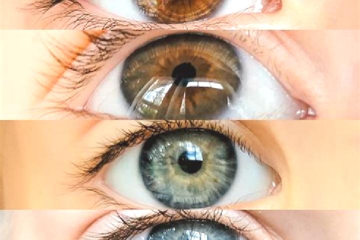 Ruby, 21, a chestnut dark-eyed middle eastern companion based in Tomochi. Offering A-Level, Tantra, Girlfriend Experience, Fetish, CIM. Available for incall ...