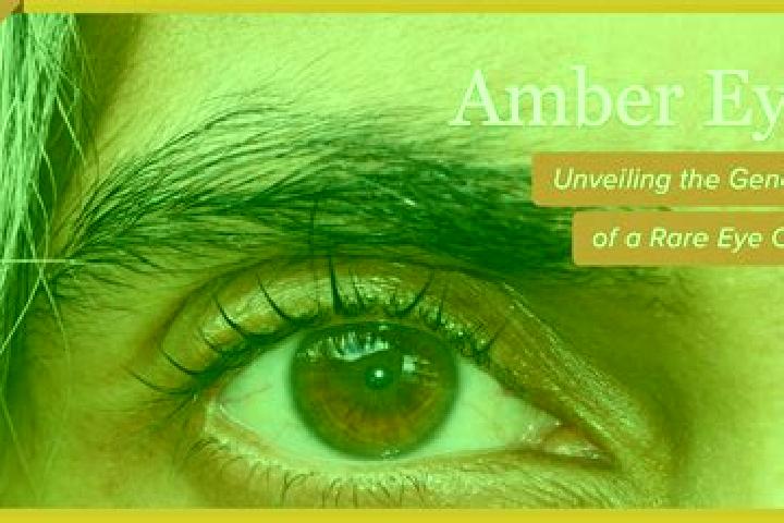Ruby, 21, a red amber-eyed slavic companion based in Pond Creek. Offering Girlfriend Experience, Dinner Date, Travel Companion, GFE, OWO. Available for incal...