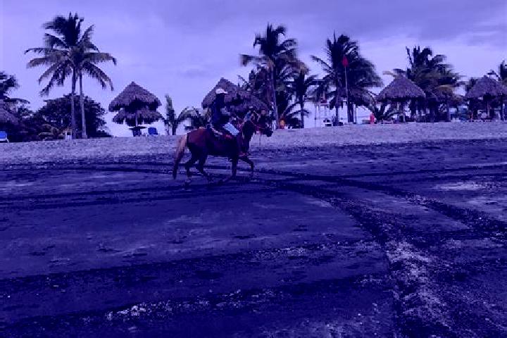 Ruby, 21 — Escort in El Chiru, Panama