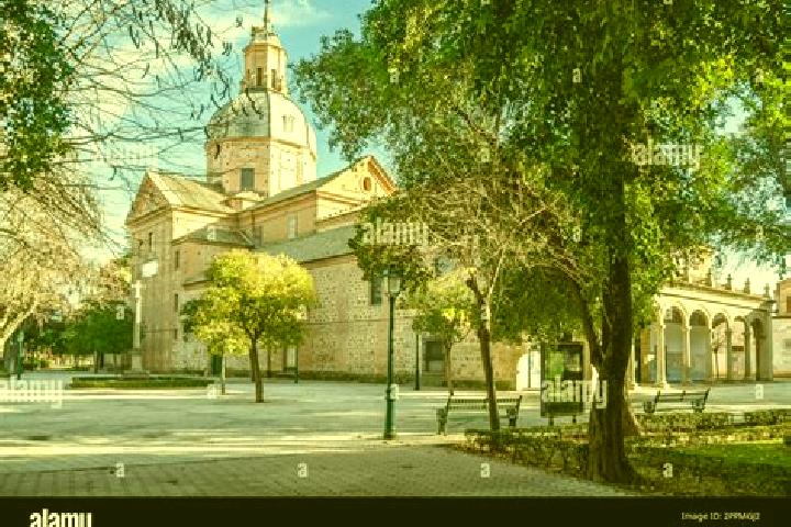 Ruby, 21 — Escort in Nuestra Senora de Talavera, Argentina