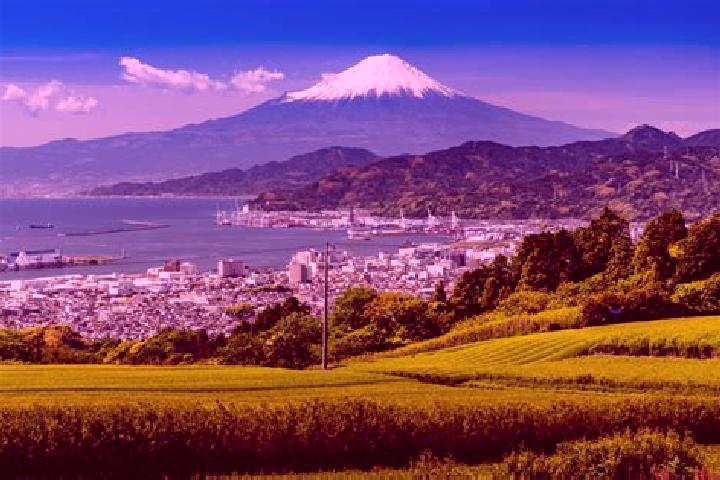 Ruby, 21 — Escort in Shizuoka, Japan