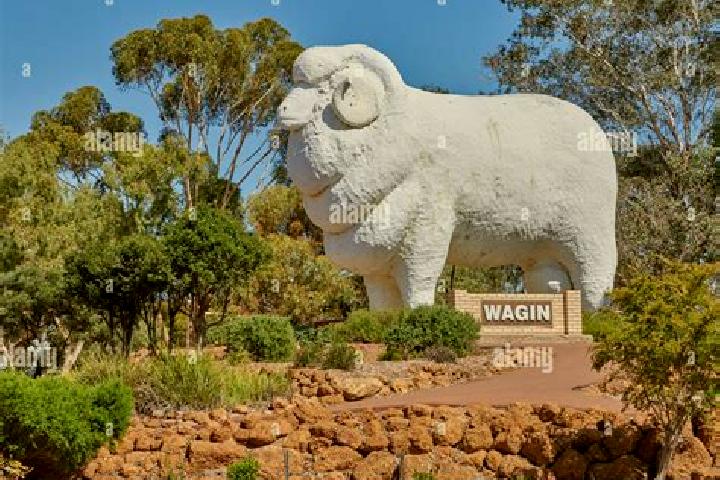 Ruby, 21 — Escort in Wagin, Australia