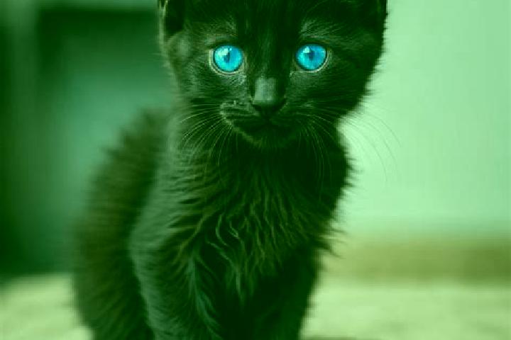Ruby, 22, a black blue-eyed caribbean companion based in Ar Rabiyah. Offering GFE, Party Girl, Massage, Duos, Striptease. Available for incall and outcall, o...