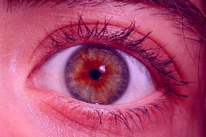 Ruby, 22, a red hazel-eyed middle eastern companion based in Montmorillon. Offering Tantra, BDSM, Massage, Girlfriend Experience. Available for incall and ou...