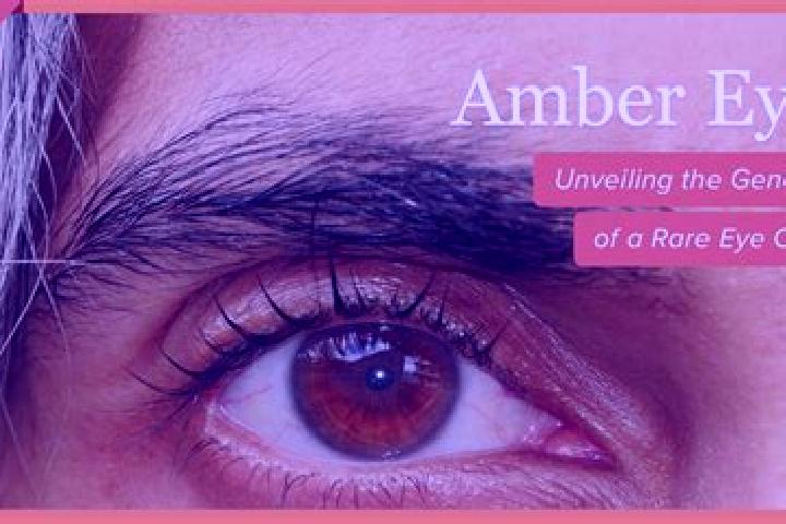 Ruby, 23, a black amber-eyed middle eastern companion based in Gueyo. Offering Dinner Date, BDSM, Couples, Massage. Available for incall and outcall, day and...