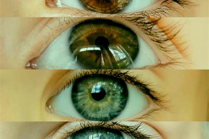Ruby, 23, a chestnut grey-eyed mixed companion based in Boutiliers Point. Offering GFE, Dinner Date, Domination, Girlfriend Experience. Available for incall ...