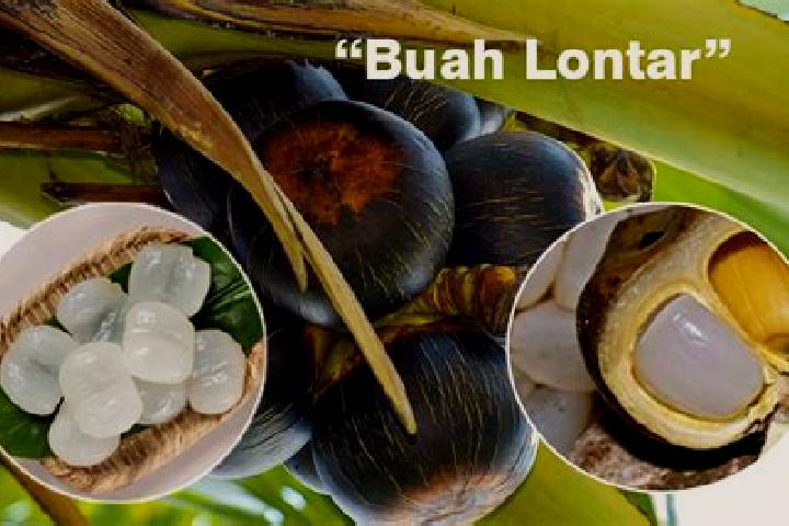 Ruby, 23 — Escort in Lontar, Indonesia