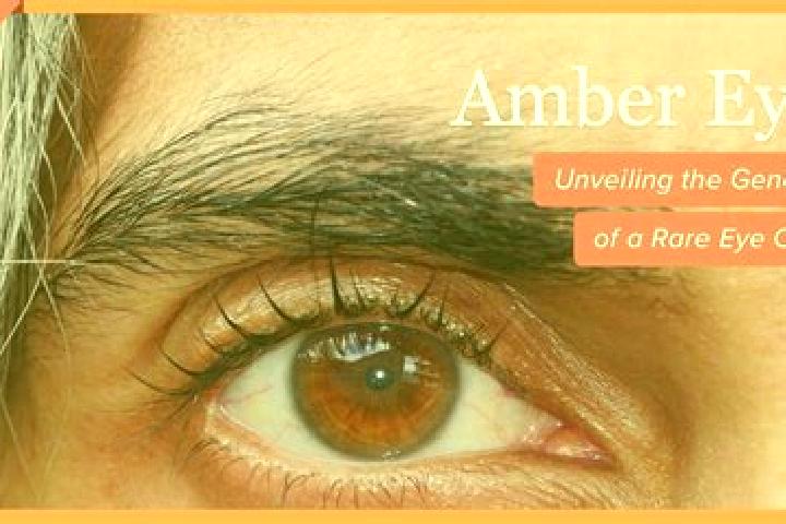 Ruby, 24, a black amber-eyed mixed companion based in Metcalfe. Offering Massage, Domination, Girlfriend Experience, A-Level. Available for incall and outcal...