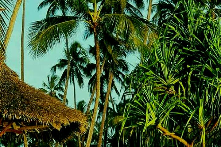 Ruby, 24 — Escort in Ilembula, Tanzania
