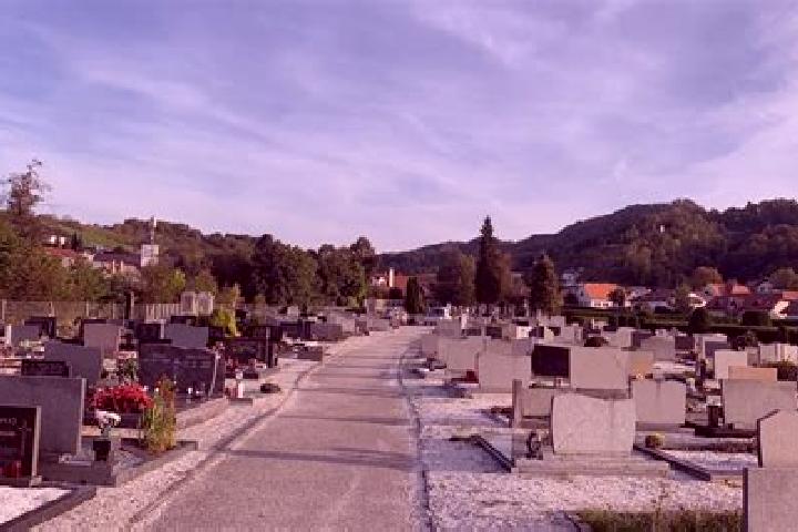 Ruby, 24 — Escort in Kamnica, Slovenia