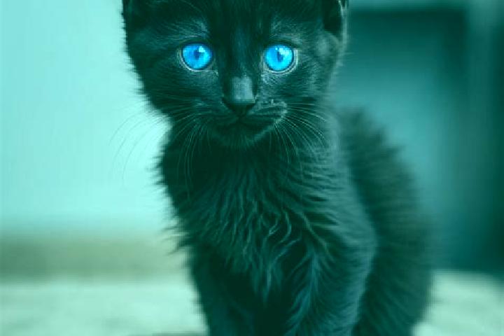 Ruby, 26, a black blue-eyed mediterranean companion based in Mayagueez. Offering Erotic Massage, Massage, Striptease, GFE. Available for incall and outcall, ...