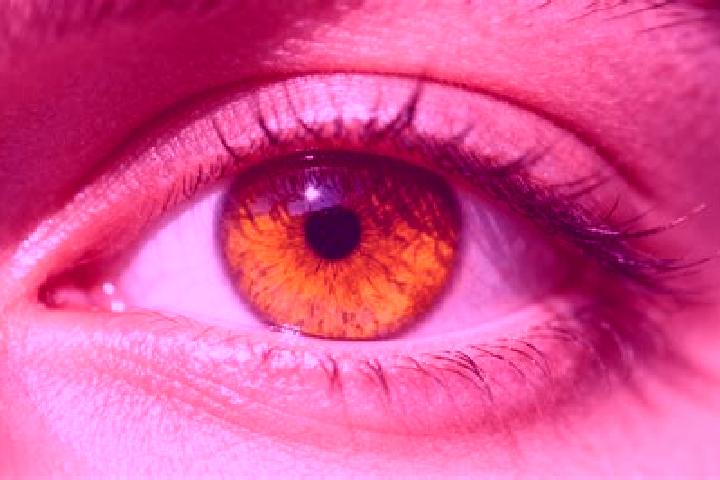 Ruby, 26, a red amber-eyed european companion based in Irchonwelz. Offering A-Level, Couples, 69, Domination, CIM. Available for incall and outcall, overnigh...
