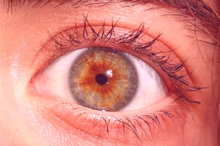 Ruby, 27, a red hazel-eyed european companion based in Karanjia. Offering Couples, GFE, Fetish, Duos. Available for incall and outcall, day and evening dates.