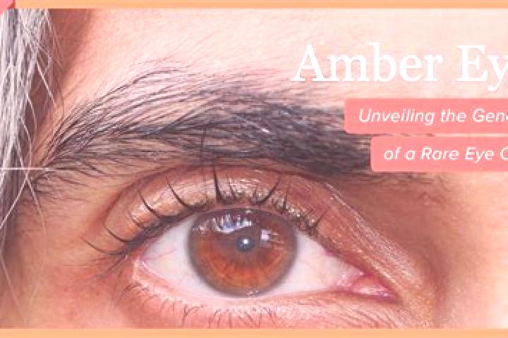 Ruby, 28, a black amber-eyed caribbean companion based in Eberstalzell. Offering OWO, A-Level, Massage, Tantra. Available for incall and outcall, day and eve...