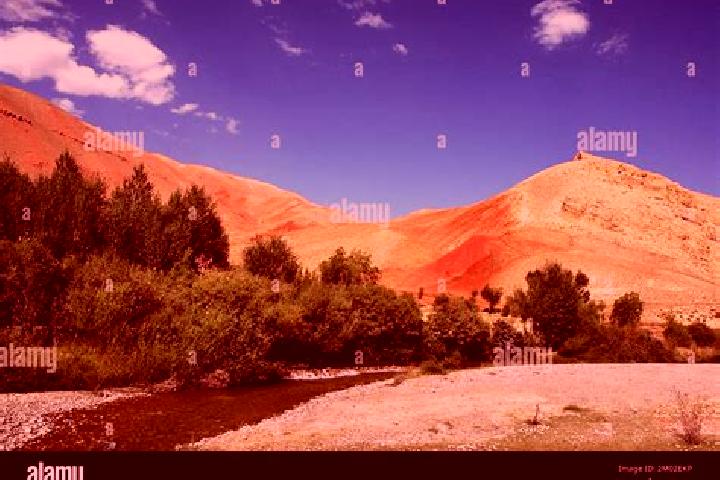 Ruby, 28 — Escort in Bazar-e Yakawlang, Afghanistan