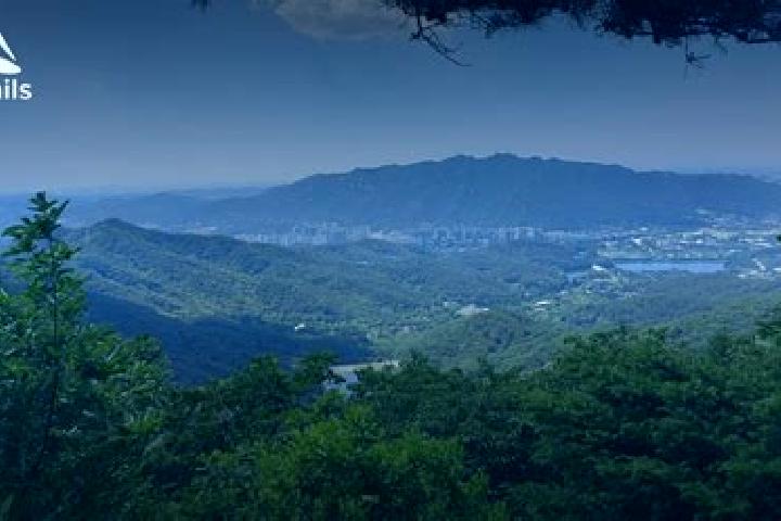 Ruby, 28 — Escort in Uiwang, South Korea