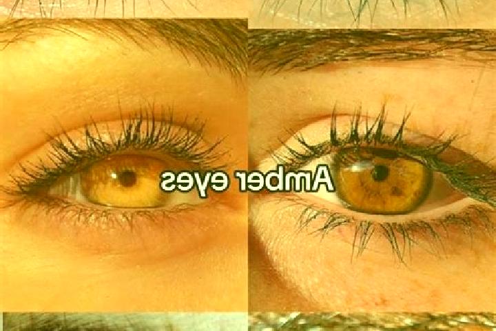 Ruby, 29, a chestnut amber-eyed european companion based in Gondershausen. Offering Duos, Erotic Massage, Prostate Massage. Available for incall and outcall,...