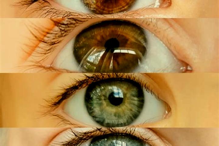 Ruby, 29, a chestnut grey-eyed middle eastern companion based in Valle Nuevo. Offering Fetish, CIM, 69, Striptease. Available for incall and outcall, day and...