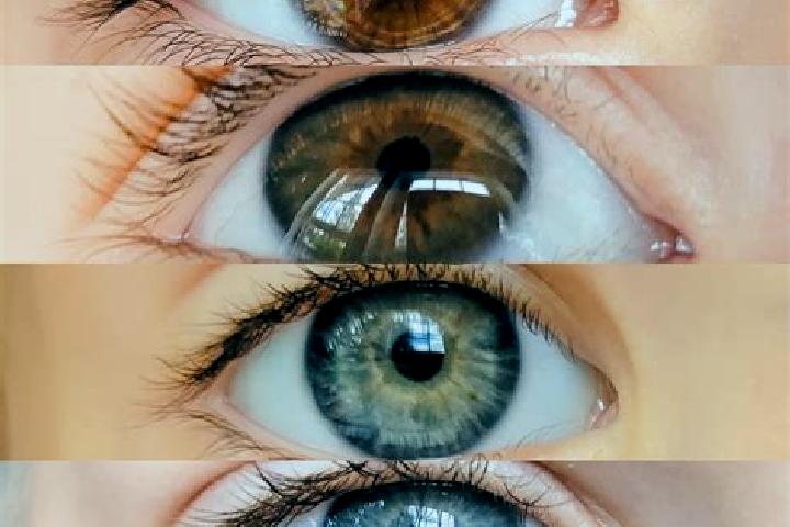 Ruby, 30, a chestnut grey-eyed mixed companion based in Gaurela. Offering Duos, OWO, Roleplay, Overnight. Available for incall and outcall, overnight booking...