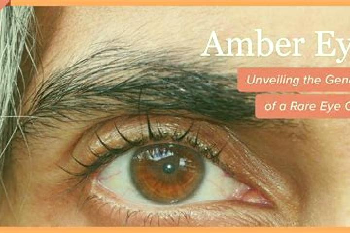 Ruby, 30, a red amber-eyed caucasian companion based in Yoho. Offering Couples, Deep French Kissing, Duos, OWO, Erotic Massage. Available for incall and outc...