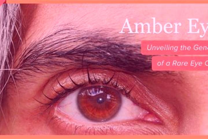 Ruby, 30, a red amber-eyed slavic companion based in Yuwan. Offering Girlfriend Experience, Overnight, Tantra, CIM. Available for incall and outcall, overnig...