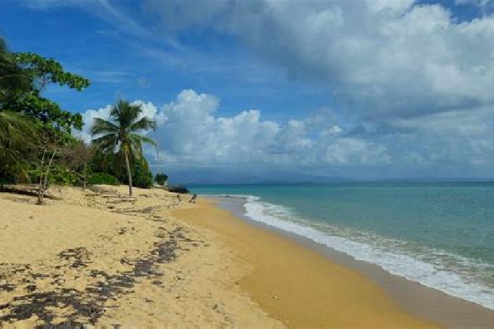 Ruby, 31, a platinum blonde green-eyed mediterranean companion based in Massakory. Offering CIM, Deep French Kissing, Overnight, Tantra. Available for incall...