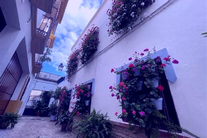 Ruby, 31 — Escort in Balconcitos (Balcones), Mexico