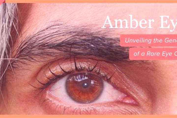 Ruby, 32, a red amber-eyed caribbean companion based in Koukkuniemi. Offering Striptease, Girlfriend Experience, A-Level. Available for incall and outcall, d...