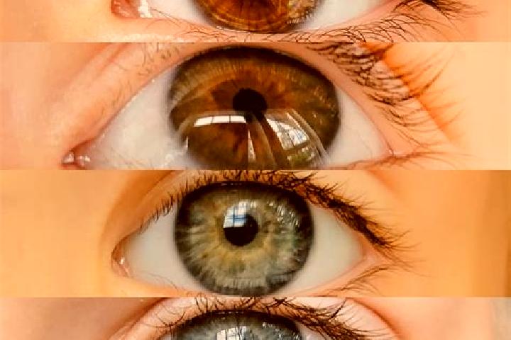 Ruby, 33, a chestnut grey-eyed middle eastern companion based in Sencha. Offering OWO, Domination, Dinner Date. Available for incall and outcall, overnight b...