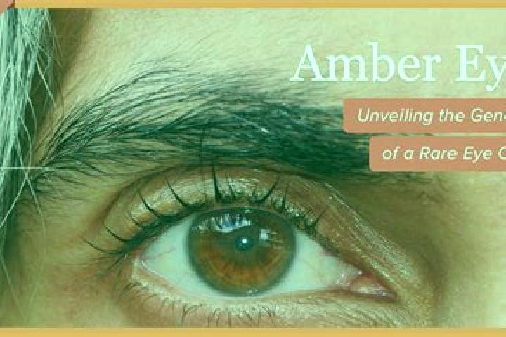 Ruby, 33, a red amber-eyed mediterranean companion based in Paulton. Offering Tantra, Erotic Massage, Domination. Available for incall and outcall, overnight...