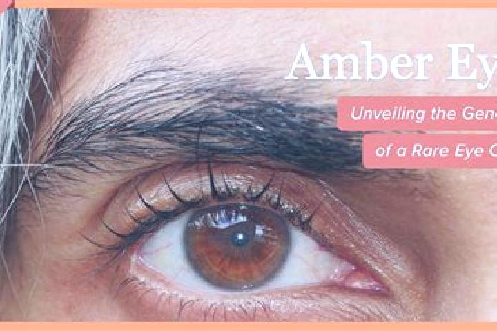 Ruby, 34, a black amber-eyed indian companion based in Geilo. Offering A-Level, Massage, 69. Available for incall and outcall, overnight bookings available.