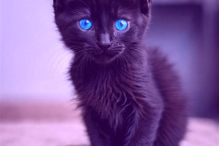 Ruby, 34, a black blue-eyed mediterranean companion based in Nea Penteli. Offering OWO, BDSM, Roleplay. Available for incall and outcall, overnight bookings ...