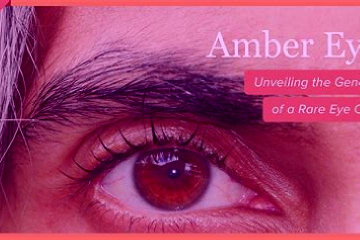 Ruby, 34, a red amber-eyed caucasian companion based in Fort Irwin. Offering Prostate Massage, Tantra, Fetish, Girlfriend Experience. Available for incall an...