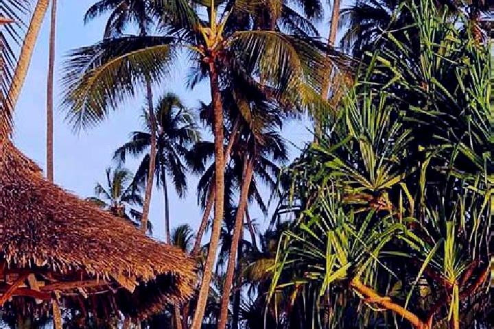 Ruby, 34 — Escort in Kwakoa, Tanzania