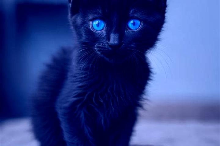 Ruby, 35, a black blue-eyed mediterranean companion based in Abokro. Offering Travel Companion, Dinner Date, BDSM. Available for incall and outcall, day and ...