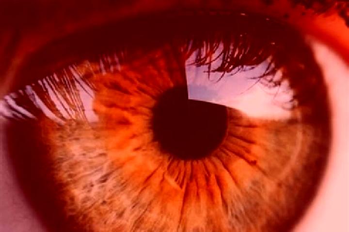 Ruby, 35, a dark blonde hazel-eyed mixed companion based in Stevensville. Offering Duos, Tantra, Girlfriend Experience, GFE. Available for incall and outcall...