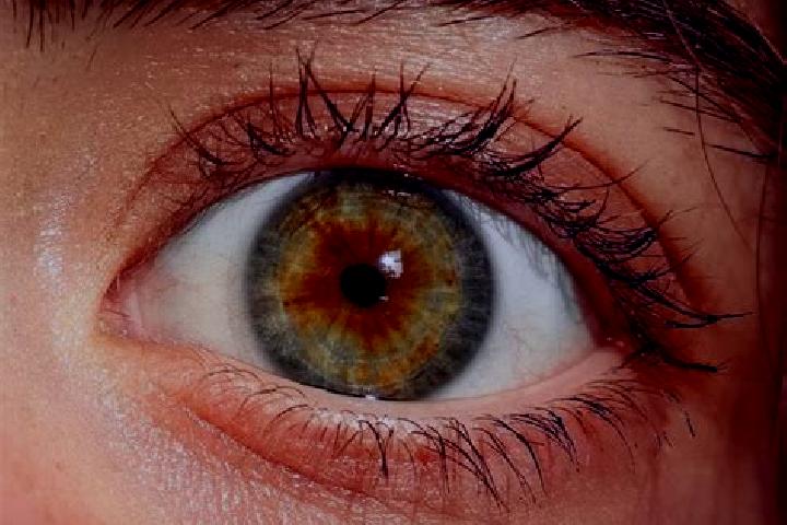 Ruby, 35, a red hazel-eyed slavic companion based in Ciendabajo (Hacienda de Abajo). Offering Tantra, Deep French Kissing, Travel Companion. Available for in...