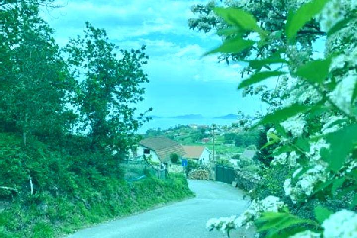Ruby, 35 — Escort in Celada del Camino, Spain
