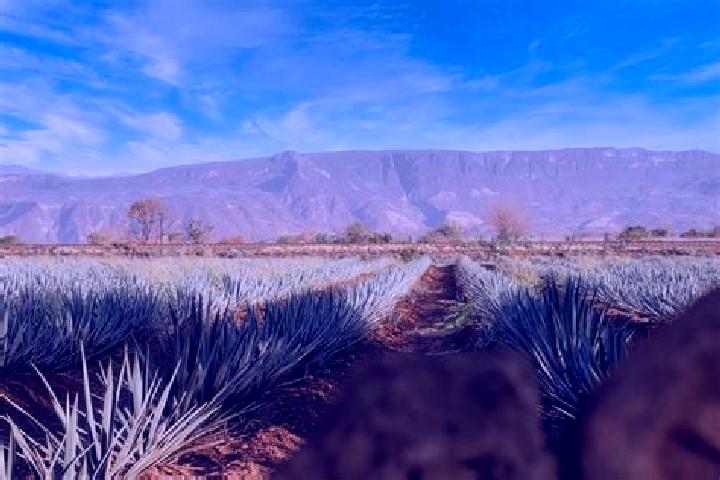 Ruby, 35 — Escort in Chimaltitan, Mexico