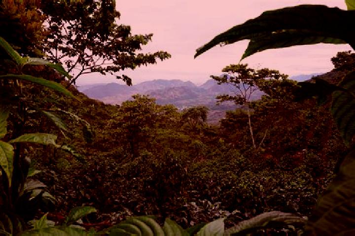Ruby, 35 — Escort in Huehuetenango, Guatemala