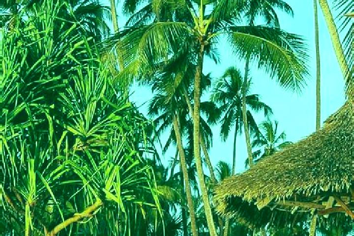 Ruby, 35 — Escort in Igurusi, Tanzania