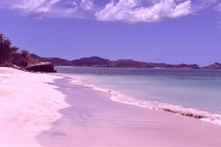 Ruby, 35 — Escort in Sea View Farm, Antigua and Barbuda