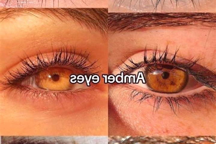 Ruby, 36, a chestnut amber-eyed slavic companion based in Puzhakkal. Offering Deep French Kissing, OWO, BDSM, A-Level. Available for incall and outcall, over...